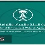 رابط تقديم وظائف وزارة البيئة والمياه والزراعة 1440 للرجال و للنساء عبر بوابة التوظيف الالكترونية