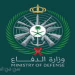 رابط تقديم وزارة الدفاع للرجال في وظائف القوات المسلحة .. تعرف علي شروط وموعد التقديم
