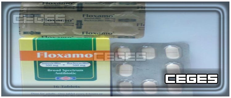 فلوكسامو Floxamo أقراص مضاد حيوي