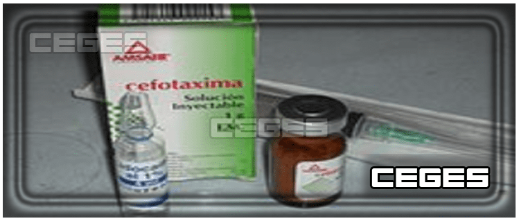 دواء سيفوتاكسيم Cefotaxime لعلاج عدوي الجهاز الهضمي