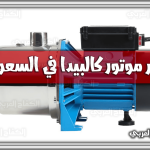 https://kifaharabi.com/saudi-arabia-services/calpeda-motor-price-saudi-arabia/