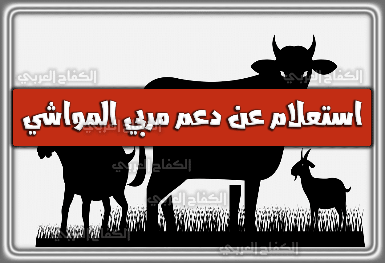 استعلام عن دعم مربي المواشي .. رقم دعم المواشي 1444 – 2023