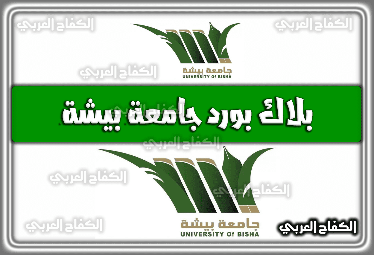 بلاك بورد جامعة بيشة.. رابط الاستعلام وَ خطوات التسجيل 1444 السعودية 2022